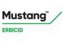 Mustang™ – erbicidul de referință în combaterea buruienilor dicotiledonate din culturile de porumb și cereale păioase